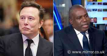 David Lammy gives four-word message to Elon Musk over 'mistruths'