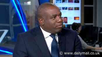 David Lammy vows to go after Chinese firms which make small boat engines used by Channel migrants as part of 'world first' sanctions regime