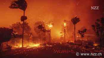 BILDSTRECKE - Brennende Palmen und zerstörte Gebäude – die Bilder zu den verheerenden Feuern in Los Angeles