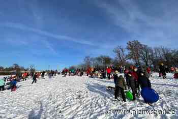 Dit weekend sneeuwfestival in Sint-Truiden: “De perfecte locatie om van de heuvel te sleeën”