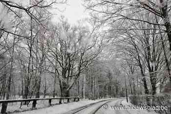 Tremelo ligt onder een sneeuwtapijt