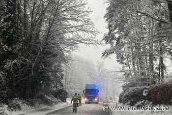 Boom dreigt om te vallen door dik pak sneeuw: Waversebaan afgesloten