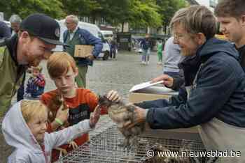 Gemeentebestuur start juridische procedure tegen beperking dierenmarkt