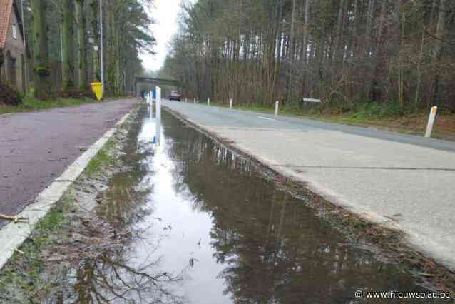 Traag wegtrekkend water in wadi’s langs Asberg baart zorgen: “Als het gaat vriezen, kunnen we schaatsen van Zoerle-Parwijs naar Westerlo”