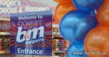 B&M shares plunge after bargain retailer reports sales dipped in last quarter