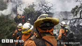 In pictures: Dramatic scenes as wildfires sweep through west LA