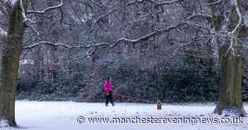 Surprise snowfall leaves picture-perfect scenes across Greater Manchester