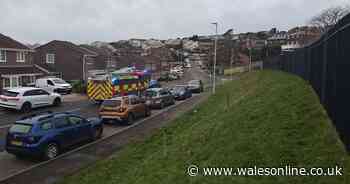 Swansea school evacuated after fire