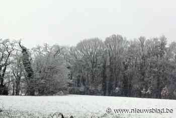 Boortmeerbeek ligt onder een sneeuwtapijt