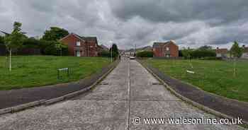 Woman dies after house fire in Swansea