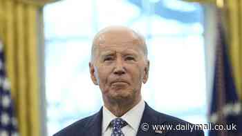 Biden gives $500million more in weapons to Ukraine before leaving office