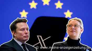 Musk und Weidel im Visier der EU: Mächtige Ermittler überwachen Interview