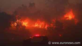 Over 1,000 structures destroyed and thousands evacuated in LA fire