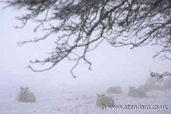 End of cold snap ‘in sight’ in Ireland