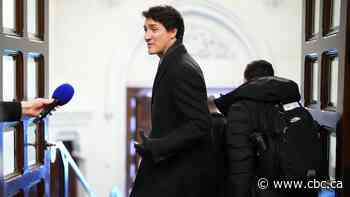 First Liberal caucus member comes forward to replace Trudeau as others wait for leadership race rules