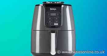 Ninja air fryer sees massive price drop to less than £70 in January sales