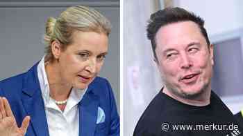 Illegale Parteispende oder nicht? Musk und Weidel im Live-Interview auf X