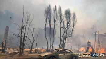 Toronto native recounts evacuation from deadly Los Angeles wildfires