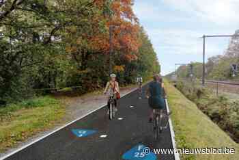 Vlaamse Regering moet opnieuw beslissen over vergunning voor fietssnelweg na beroep van buurtbewoner