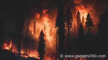 Santa Ana Winds Fuel LA Wildfires, 13,000 Acres Burned and Thousands Evacuated