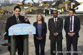 Backbench Ottawa MP Chandra Arya to run for Liberal leadership