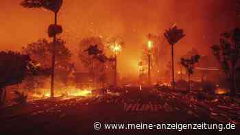 Anthony Hopkins hat sein Zuhause bereits im Flammen-Inferno verloren: Diese Promis bangen aktuell