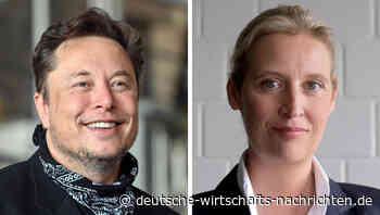 Musk-Weidel-Live-Interview: Handelt es sich bei der Übertragung von Elon Musk und Alice Weidel um eine unzulässige Parteispende?