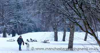 It’s caused major disruption, but there is one good thing about Greater Manchester’s snow