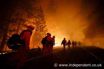 Wildfires continue to destroy Los Angeles. Its now up to hundreds of prison inmates to help slow the spread