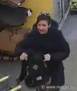 North Bay Police seeking to identify suspect in thefts 