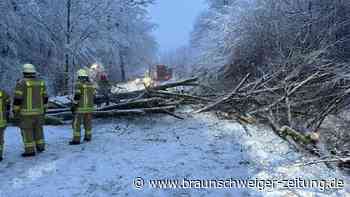 Samtgemeinde Grasleben: Schneewetter sorgt für mehrere Feuerwehr-Einsätze