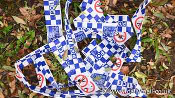 Lake Macquarie Horror: Man Stabbed to Death in His Home