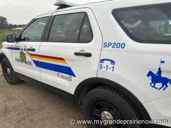 Grande Prairie RCMP seeking public assistance after several B&Es, thefts near Highway 40