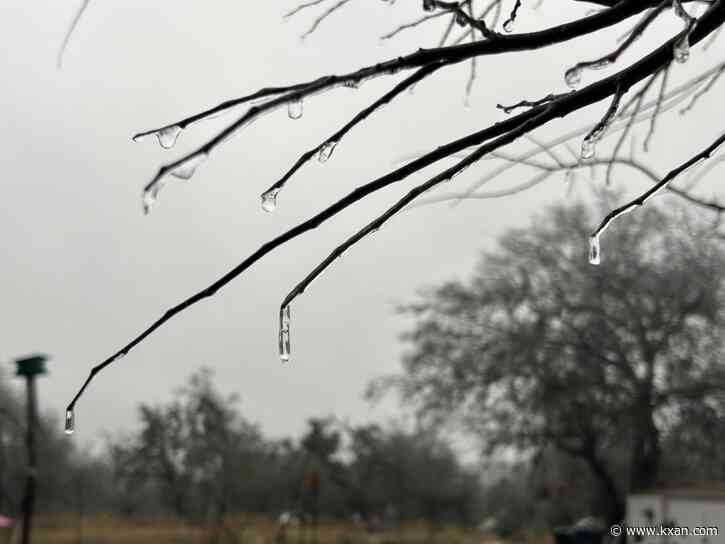 PHOTOS: Ice coats ground, trees in the Hill Country