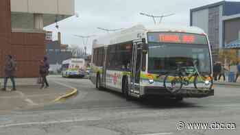 Windsor transit union, tunnel bus user launch campaigns against transit cuts