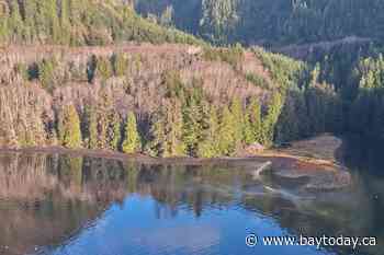 'Incalculably small' amount of diesel visible at site of 8,000-litre B.C. spill