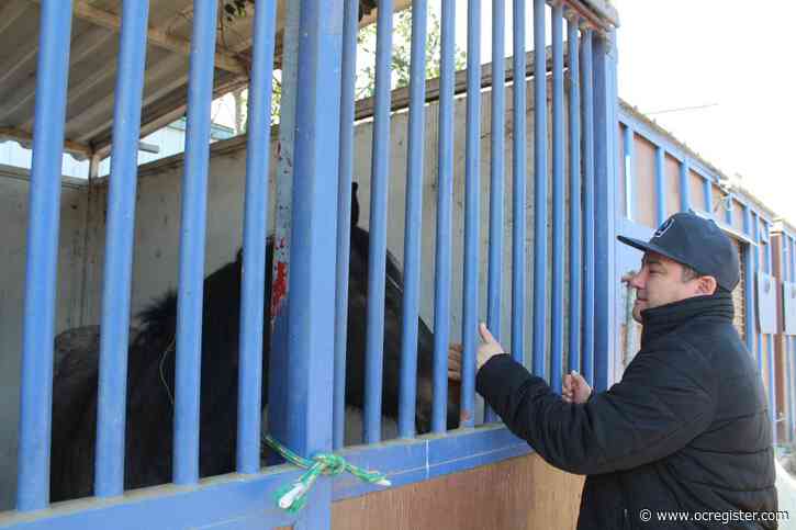 Shelters, centers welcome pets, livestock as fires threaten LA County homes