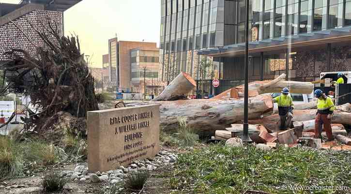 Photos: Images from LA County’s fierce winds that launched unprecedented fires