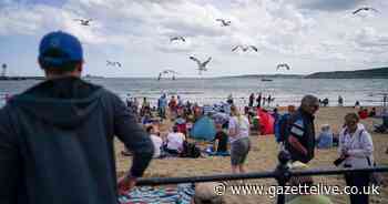 Seaside gull masterplan launched following complaints in North Yorkshire coastal towns