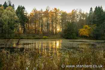 National Trust plans 250,000 hectares of nature-rich landscapes over 10 years