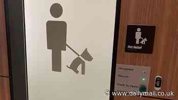 Sydney Airport's pet bathrooms go viral around the world