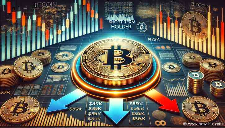 Key Metrics Reveal Bitcoin STH Support Levels Around $89K–$86K – Is BTC At Risk?