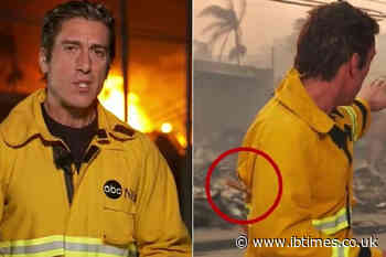 Who Is David Muir? 'Pathetic' News Host Slammed For Fashion Faux Pas While Reporting On LA Fires