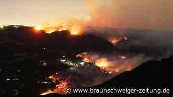 Waldbrand Los Angeles: 10.000 Gebäude zerstört – sechs Tote