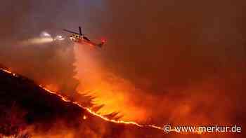 Flammeninferno im Raum Los Angeles zerstört 10.000 Gebäude