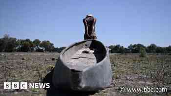 2024 first year to pass 1.5C global warming limit