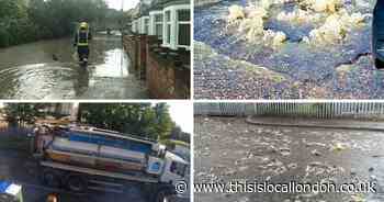 Erith 'Poo Mews' road flooded by ‘faeces, used tampons, nappies, and dead rats’