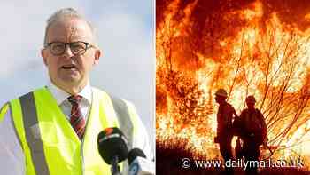 Anthony Albanese is slammed for making a VERY political point when asked questions about the Los Angeles wildfires