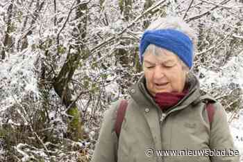 Ze vertrok voor een sneeuwwandeling, daarna verdween elk spoor: politie zoekt met man en macht naar Denise (64)