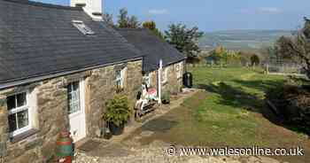 Remote rural ​cottage with breathtaking panoramic views and cows in the garden